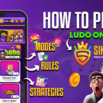 HOW TO PLAY LUDO GAME